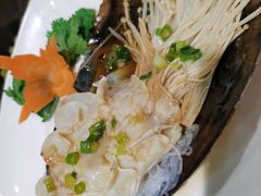 -海岛渔村大酒店(云霄路店)