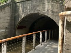 -白水寺森林公园