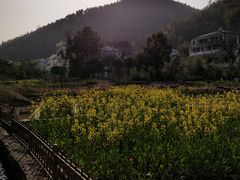 -梅岭神龙潭