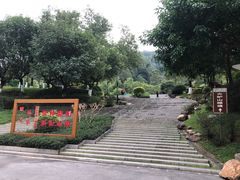 -火炉山森林公园