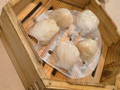 宝园虾饺皇-宝园酒家(美林M·LIVE天地东座店)