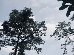 -晓港公园