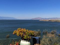 -野菌皇海景野生菌火锅(滨海大道店)