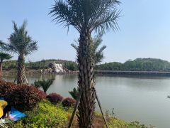 -枫香湖儿童公园