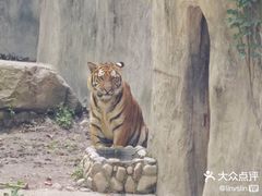 -上海动物园(地铁站)