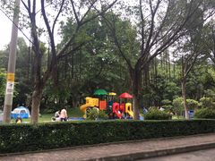 -滴水岩森林公园