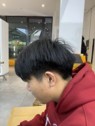 -天使之手
