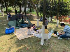 -铁山坪森林公园