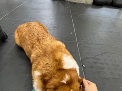-Stud CrossFit(泰丰大厦店)