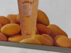 -雾与山茶(大禹城店)