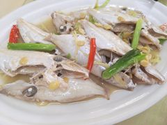 普宁豆瓣酱焖剥皮鱼-惠来大排档(联创商业街店)