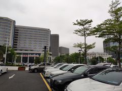 -深圳大学总医院