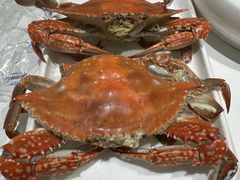 -大锅强·蒸海鲜青岛菜(金沙滩店)