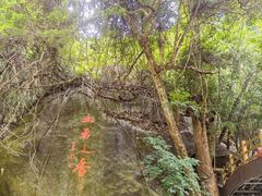 -海南霸王岭国家森林公园