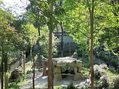 -中国大熊猫保护研究中心雅安碧峰峡基地