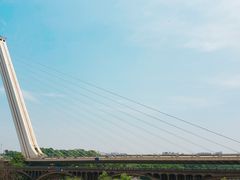 -黑色经典臭豆腐·湖南特产(太平街口店)