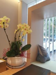 -太乙康·中式美养空间