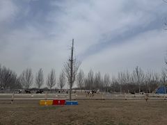 -北京群众马术培训基地