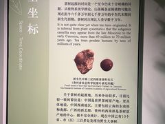 -中国茶叶博物馆(双峰馆区)