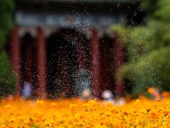 -北海公园