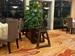 -麒麟中餐厅·经典粤菜·地道菜式老字号(广州长隆酒店)