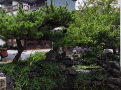 -苏州东山雕花楼宾馆