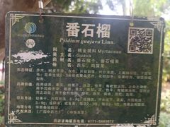 -广西壮族自治区药用植物园