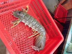 -班赞海鲜市场