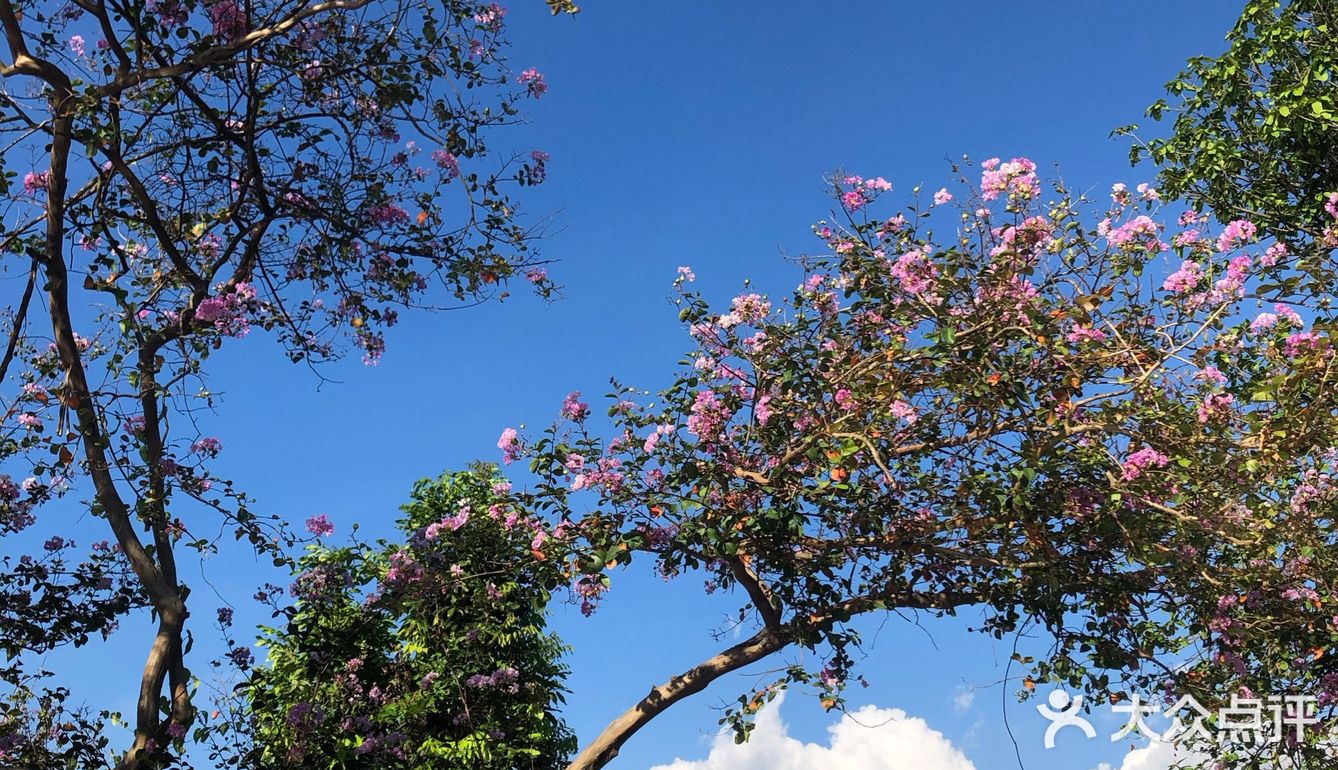 广州近市区最安静文艺的古村[吐]
