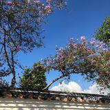 广州近市区最安静文艺的古村[吐]