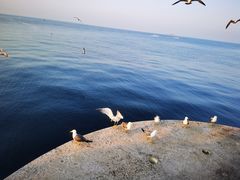 -东港音乐喷泉广场