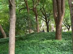 -徐家汇源景区-衡山公园