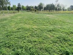 -汉长安城未央宫国家考古遗址公园