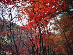 -关门山森林公园