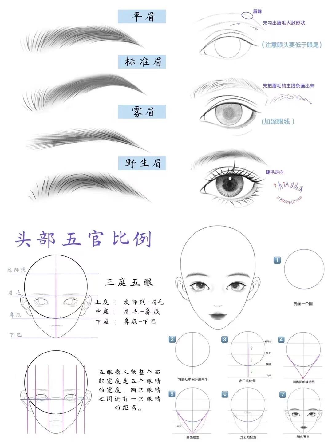 三庭五眼图片 绘画图片