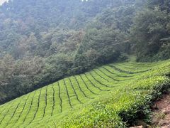 -敬亭山风景名胜区