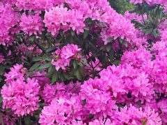 -名花谷生态庄园