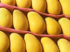 -百果园(芳华路店)