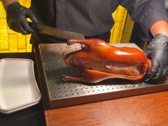 -柿合缘新京菜(静安嘉里中心店)