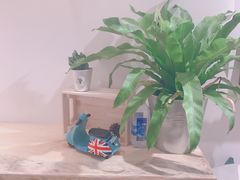 -白日梦奶茶