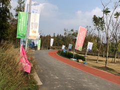 -上海长兴岛郊野公园