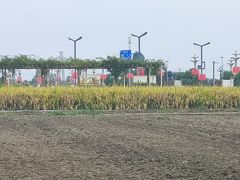 -中国天府农业博览园