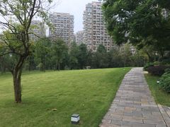 -成都保利公园皇冠假日酒店(熊猫基地店)