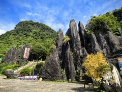 -玉石林风景区