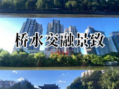 -运河游船(武林门码头)