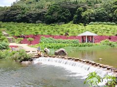 -广州市石门国家森林公园