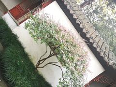 -秋霞圃