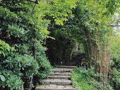 -江心屿景区