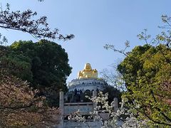 -苏州上方山国家森林公园