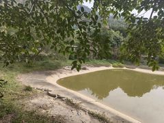 -泉州海丝野生动物世界